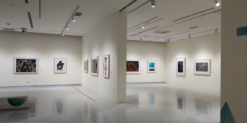 Interior of an art gallery with multiple framed artworks displayed on the walls, highlighting CityArts in Downtown Orlando.