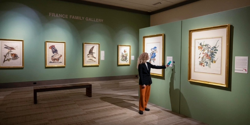 A woman observes various paintings on display at the Orange County Regional History Center in Downtown Orlando.