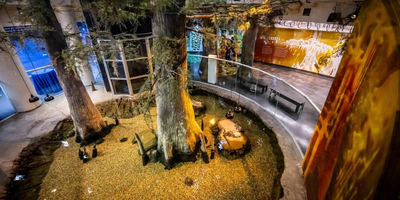 A vibrant scene of the Orlando Science Center, showcasing diverse animal exhibits and lush greenery.