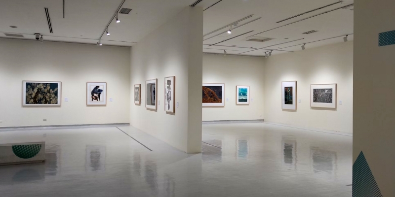 A view of an art gallery with various framed pictures on the wall, highlighting the Festival of Trees at the Orlando Museum of Art.