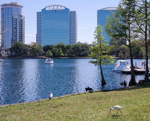 Orlando In May