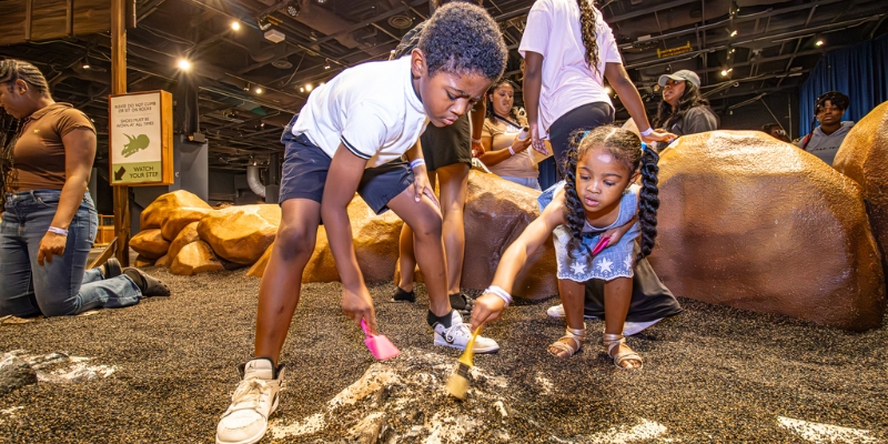 Children engaged in sand play at the DinoDigs exhibit, part of the Orlando Science Center in Downtown Orlando, Florida.