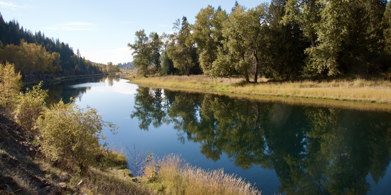 A tranquil river flanked by greenery, showcasing the natural beauty of Shingle Creek Regional Park near Orlando Convention Center.