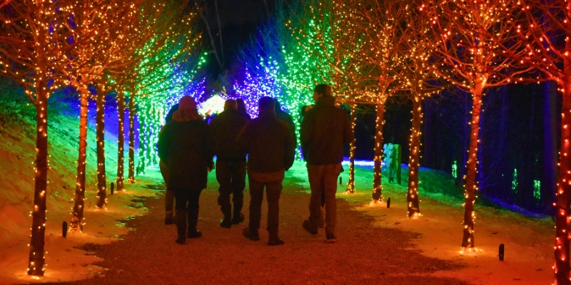 People stroll through a vibrant tunnel of colorful lights at the Dazzling Nights event in Downtown Orlando's Harry P. Leu Gardens.