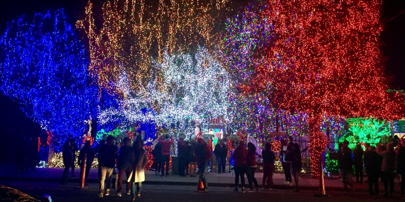 People stroll through a festive, lighted street adorned with trees and holiday lights in Downtown Orlando's Thornton Park.